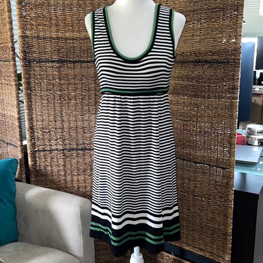 Max Studio Jersey Knit Sun Dress